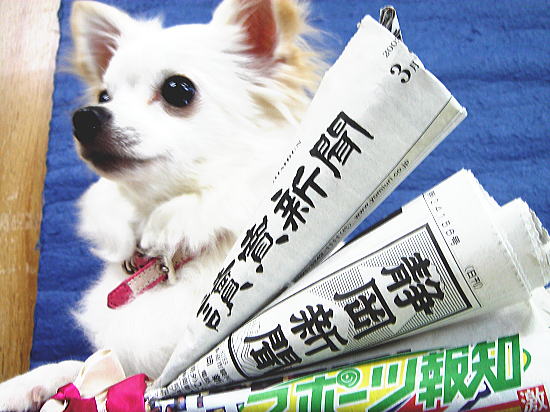 静岡市の読売新聞・静岡新聞・スポーツ報知を取り扱う新聞販売店です。